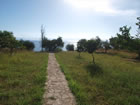 P1012455