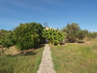 P1012456