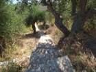P1012457