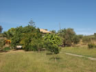 P1012458