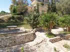 P1011991