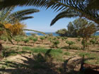 P1012013