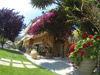 Rousis Studios